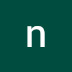 logo npUSA2022