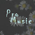 logo Pro sound