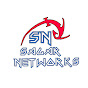 sagar networks