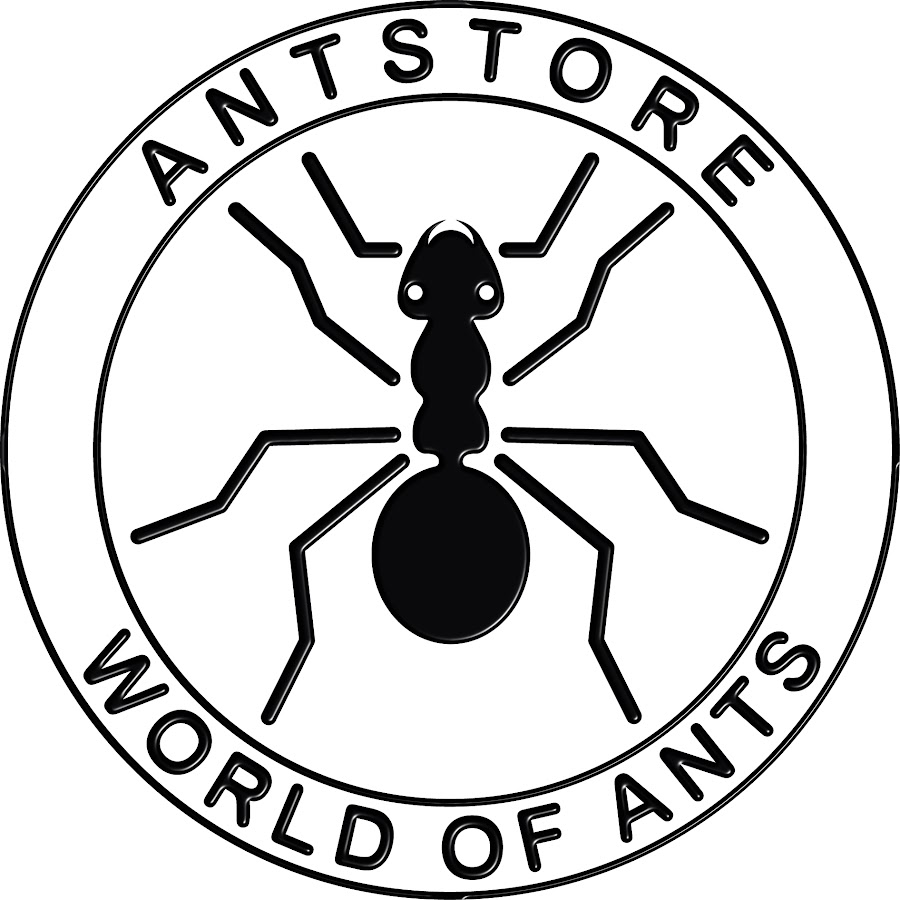 ANTSTORE @antstore1