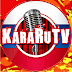 logo KaraRuTV - Русское Караоке