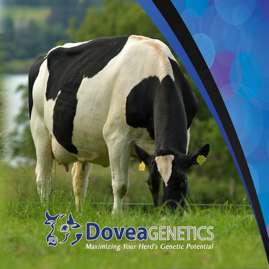 Dovea Genetics