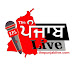 thepunjablive