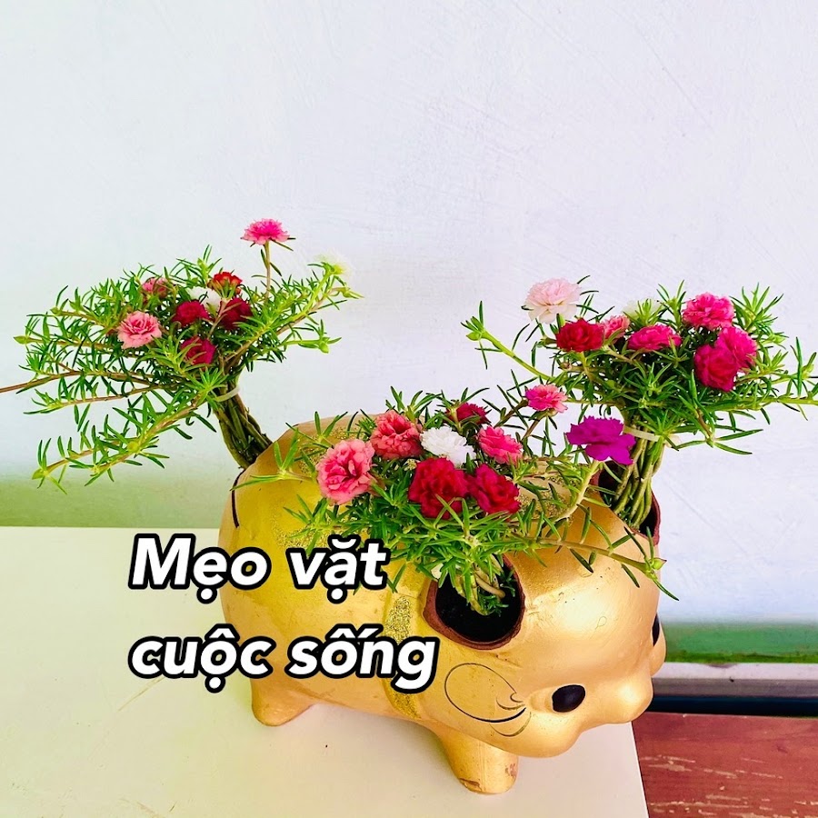 Mẹo vặt cuộc sống