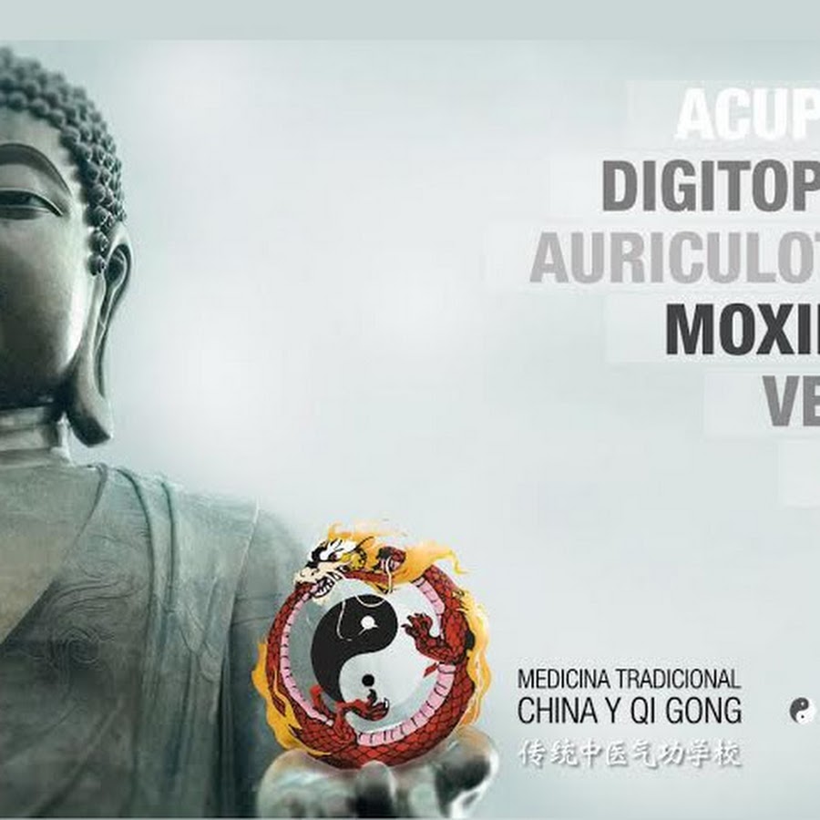 HONG LONG MTC - Escuela de Medicina China y Qigong @honglongmtc