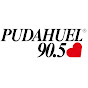 pudahueltv