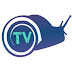 logo BEKICHOT TV