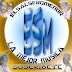 logo elsalseromenor