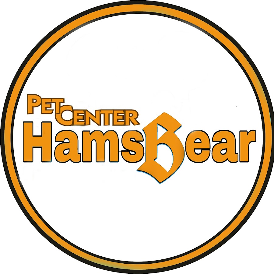 HAMSBEAR Official @HAMSBEAROfficial