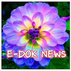 E-DOK NEWS