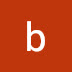 logo brittnieharbin