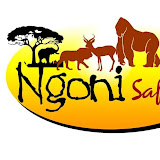 NGONI Safaris Uganda