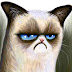 grumpy cat