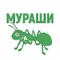 Мураши