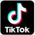 logo TikTok Webm