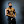 mikerashidofficial avatar