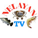 Nelayan TV