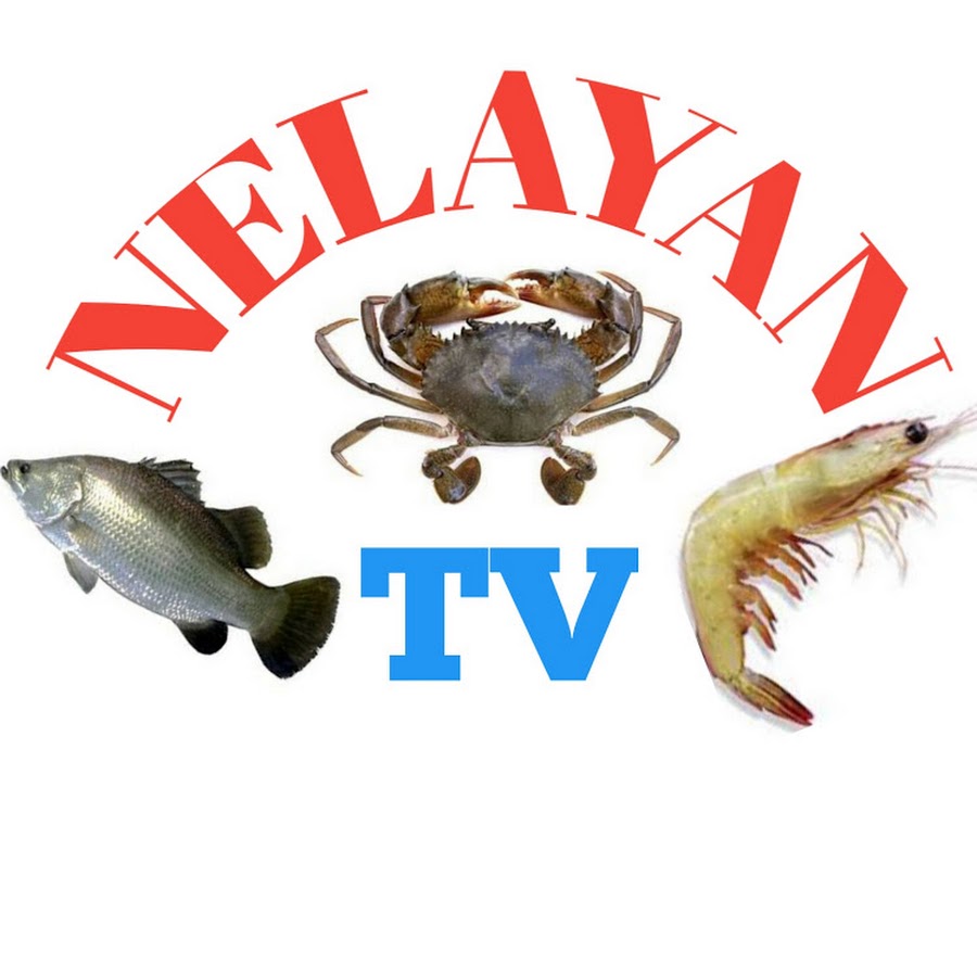 Nelayan TV