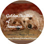 Goldendoodles of TN