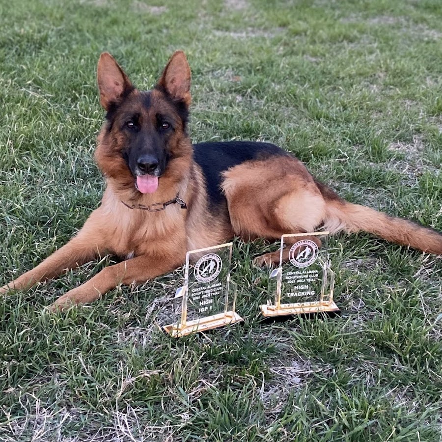 AIdro_lywsnctC2sY_Ljm6cveZNcyO1kbRK0YmfM9dvzgQ=s900ckc0x00ffffffnorj