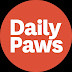 logo Daily Paws