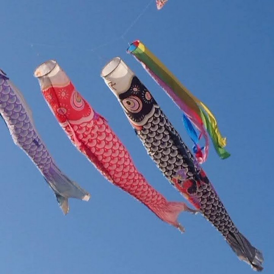 フジサワ 鯉のぼり 7メートル （中古 フジサン鯉のぼり(旧
