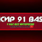 БАСИР 91 BASIR