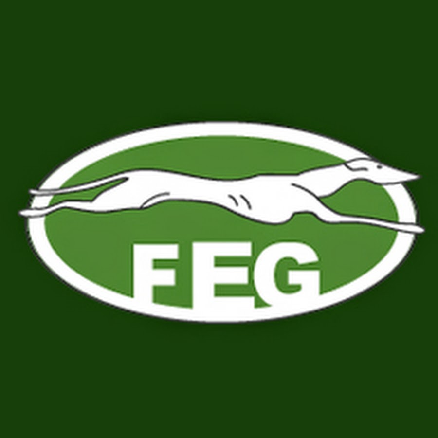 Fedegalgos Federación Española de Galgos @fedegalgosFEG