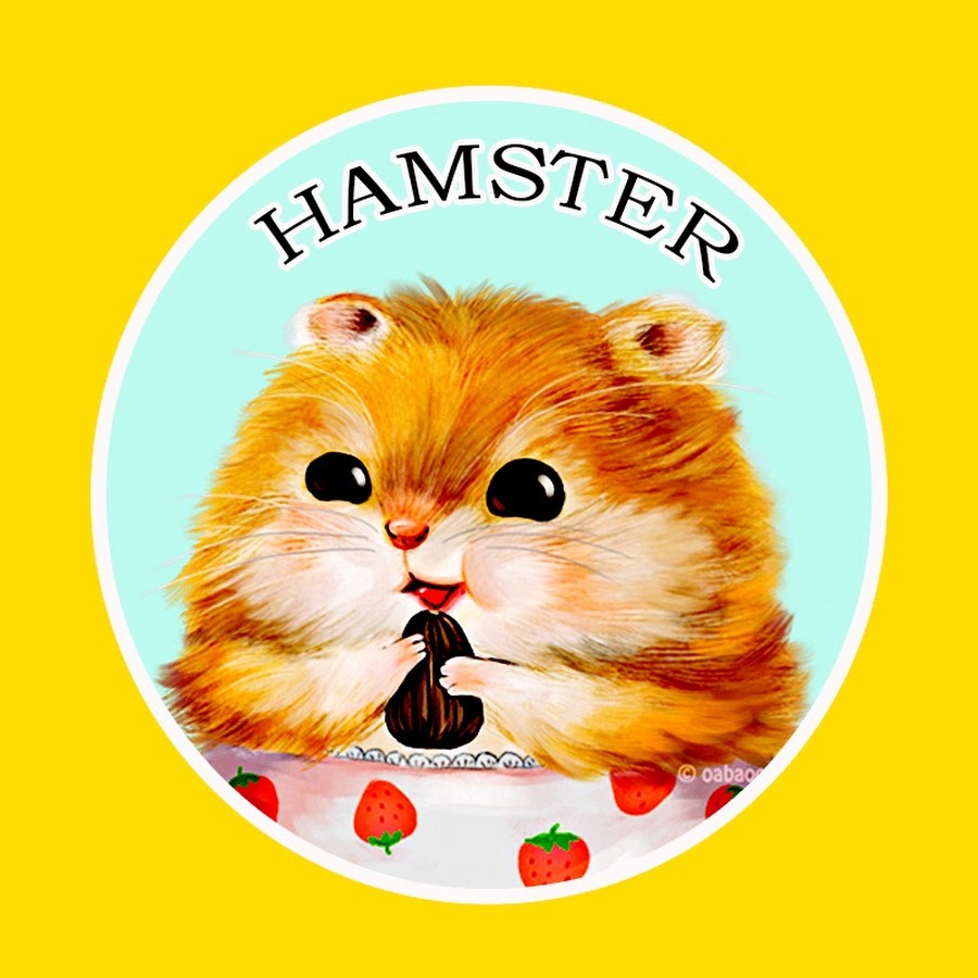 GV Mister Hamster