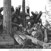1/2 Fast Logging