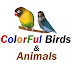 ColorFul Birds & Animals