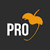 logo FL Studio PRO