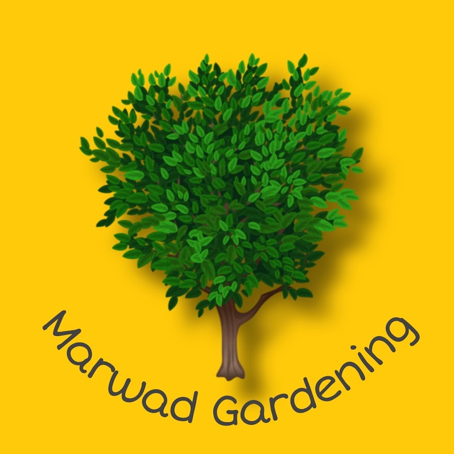 Marwad Gardening