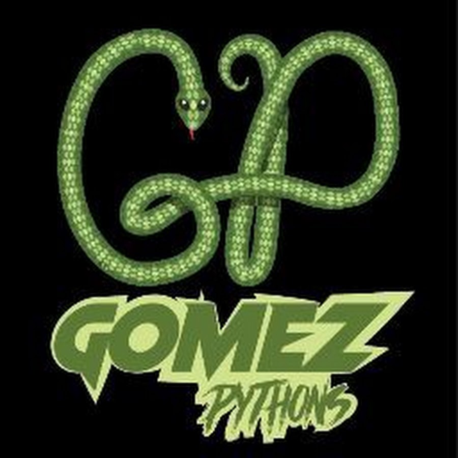 Gomez Pythons