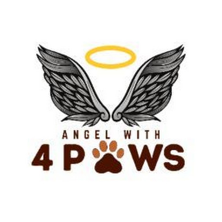 Angel with 4 Paws