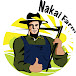 Nakai Channel