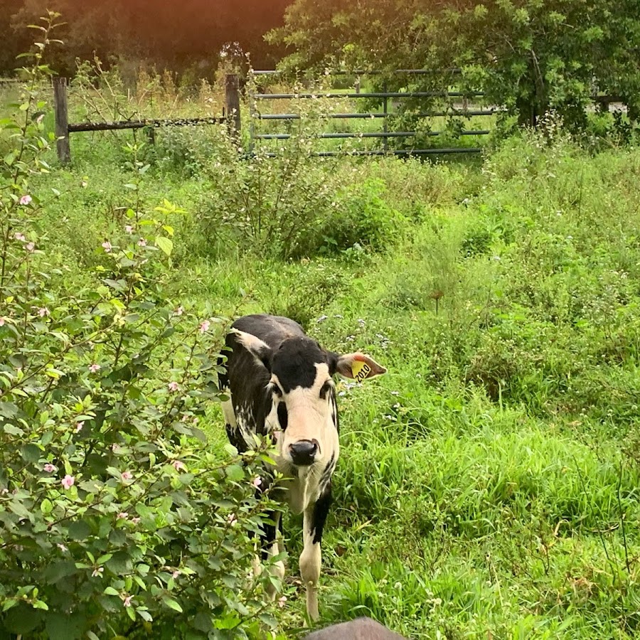 Florida Natural Farming