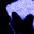 Artist Thumbnail