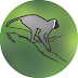 logo Vervet Monkey Foundation