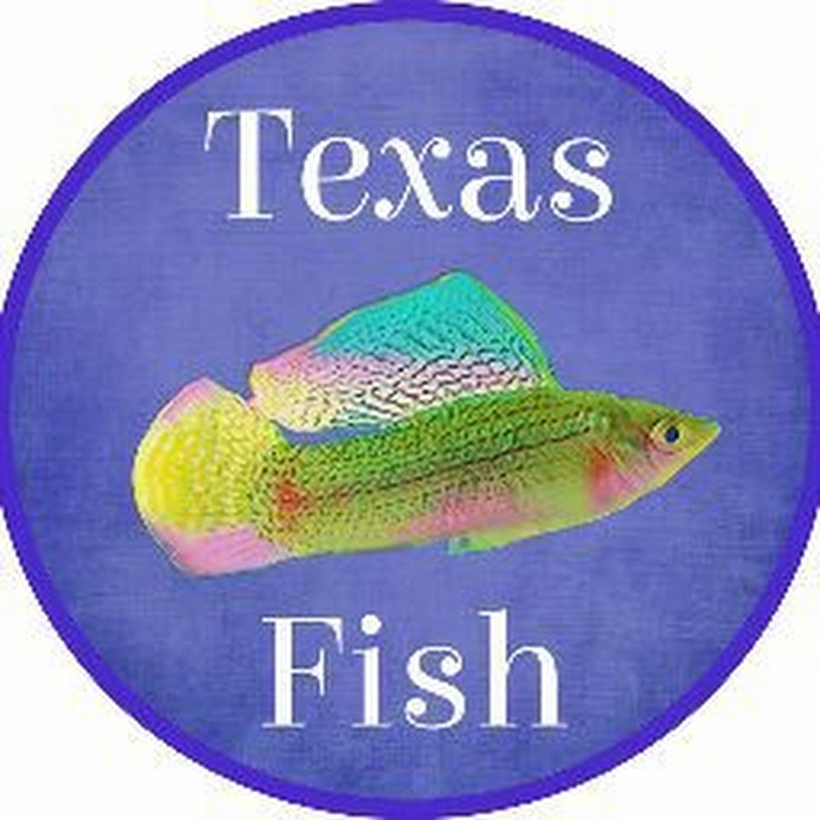 Texas Fish