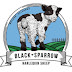 logo Black Sparrow Ranch