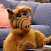 alf