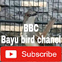 Bayu bird channel BBC