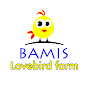 Bamis Lovebird farm