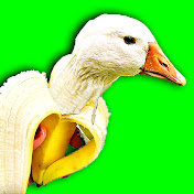 Funny ASMR Sounds