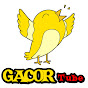 Gacor Tube