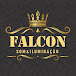 Falcon Som e Iluminação