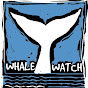 Whale Watch Tarifa