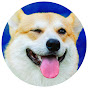 Happy Dog And Friends youtube avatar