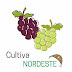 Cultiva Nordeste